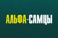 Альфа-самцы