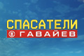 Спасатели Гавайев